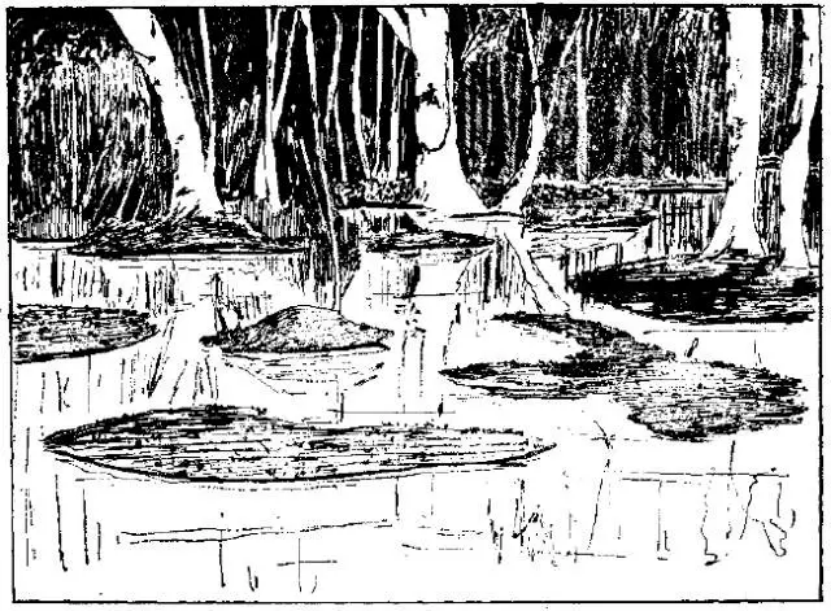 盤(pán)點(diǎn)各類(lèi)地質(zhì)地貌類(lèi)型-地?zé)豳Y源開(kāi)發(fā)-地大熱能