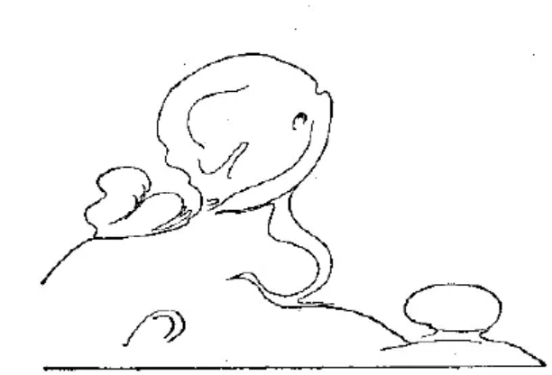 盤(pán)點(diǎn)各類(lèi)地質(zhì)地貌類(lèi)型-地?zé)豳Y源開(kāi)發(fā)-地大熱能